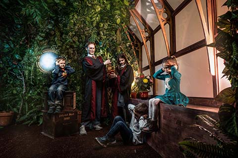 Гарри и тайна крестражей