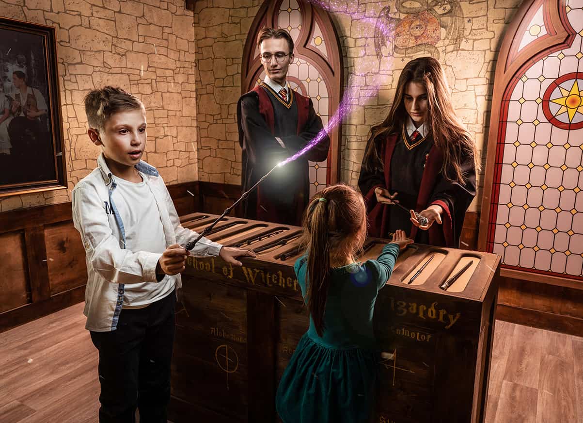 Гарри и магический орден